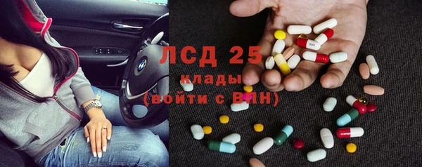 индика Лиски