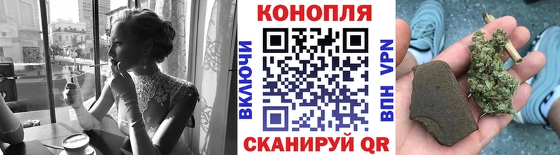где продают   Куртамыш  Бошки марихуана сатива 